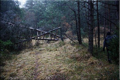 Barricadas naturales