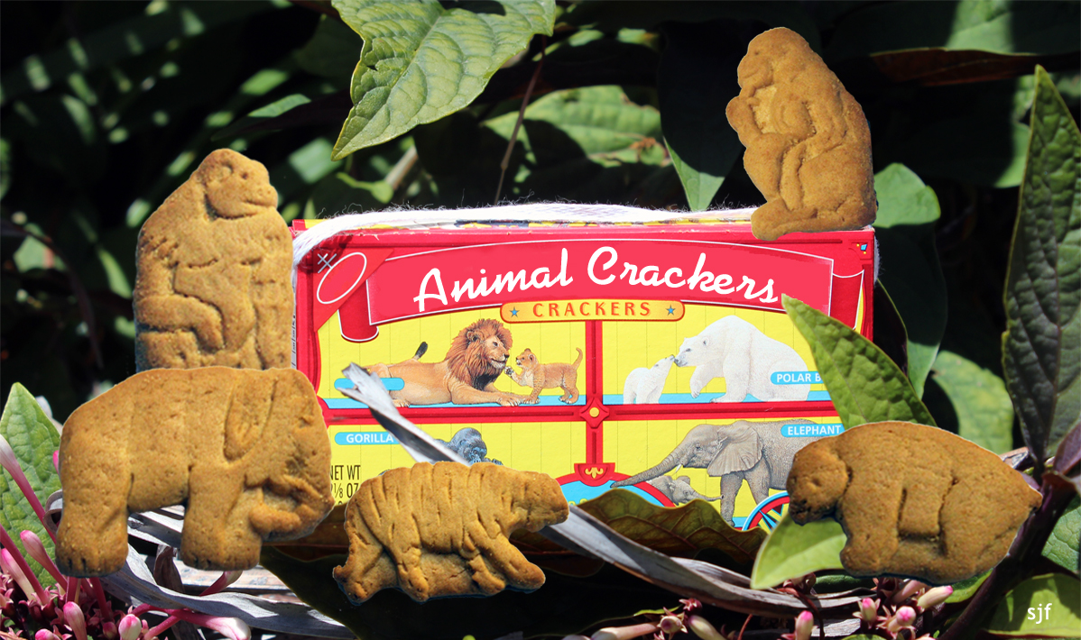 Dietitians Online Blog National Animal Crackers Day