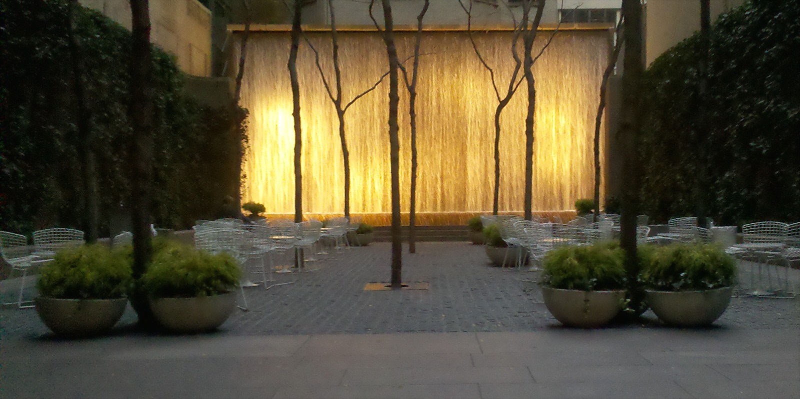 View from Federal Twist: Garden Diary: Small city garden