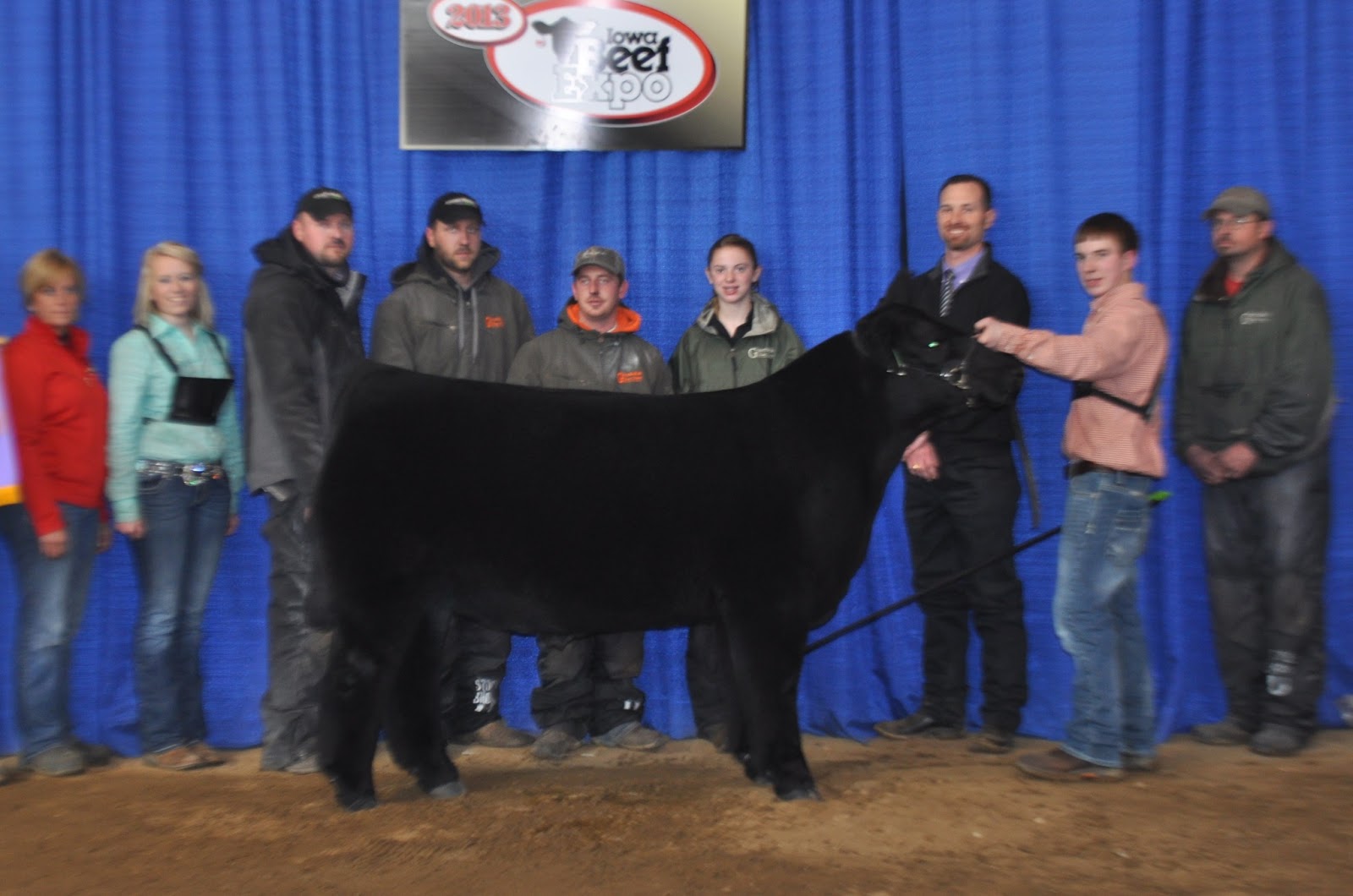 Iowa Beef Expo Top 5 Market Animals Matt Lautner Cattle