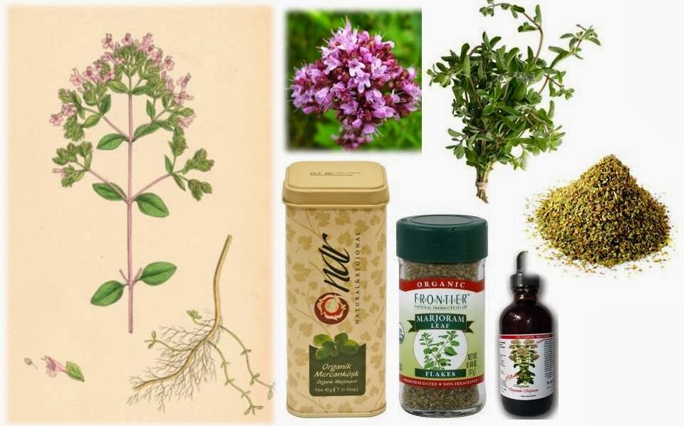 Ottawa Valley Dog Whisperer Marjoram Herb for Dogs and Cats