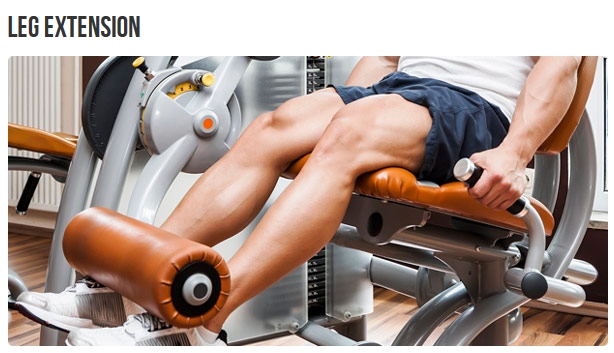 leg extension
