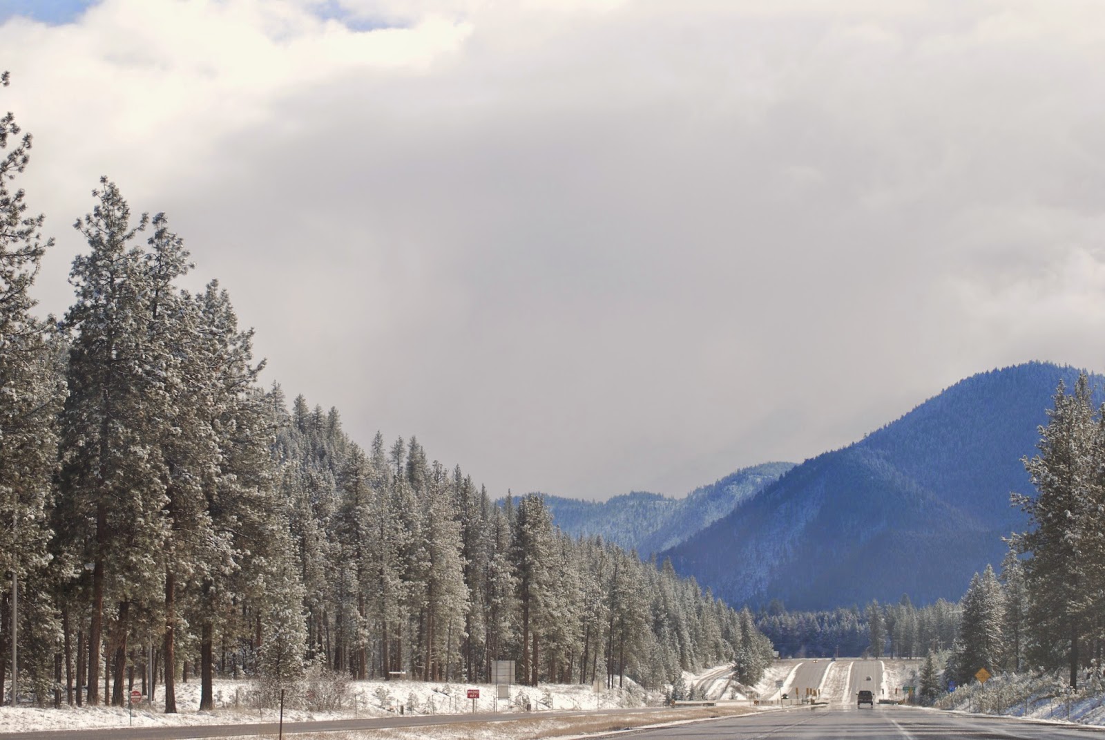 Elmira Pond Spotter Driving Along the Clark Fork