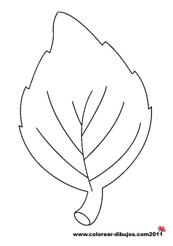 hojas de arboles para pintar awesome arbol ramas decorar casa otono