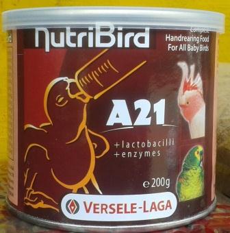pakan lovebird ternak dan anakan yang murah dan berkualitas pakan lovebird ternak dan anakan yang murah dan berkualitas