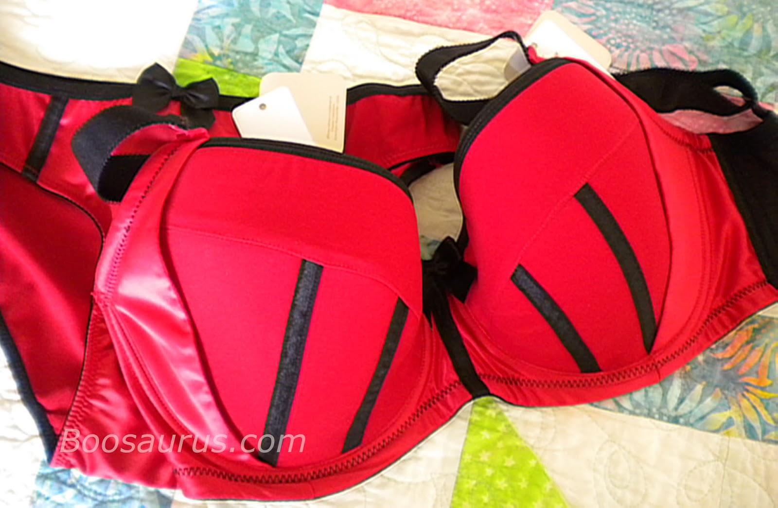 Boosaurus! Parfait by Affinitas Charlotte Bra Review