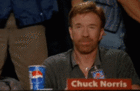 Chuck Norris aprova a sua visita ao Blog!