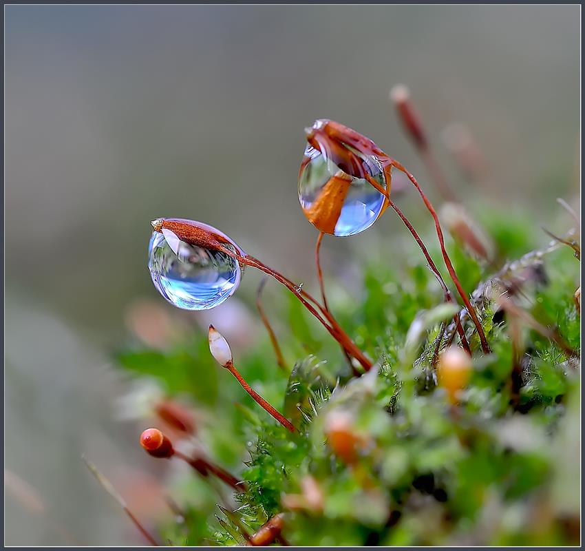 Multiverse Tales Real Vs Unreal