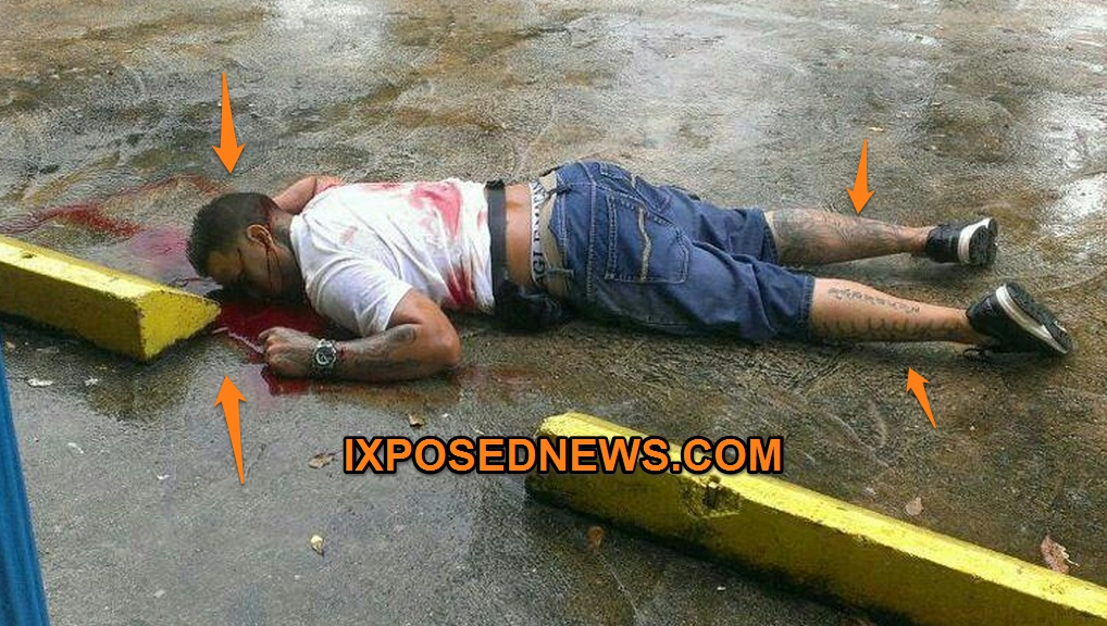 EL SUJETO ASESINADO TIENE FAMILIA EN EL SECTOR ROSA DE EL BO PAJAROS EL SUJETO ASESINADO TIENE FAMILIA EN EL SECTOR ROSA DE EL BO PAJAROS