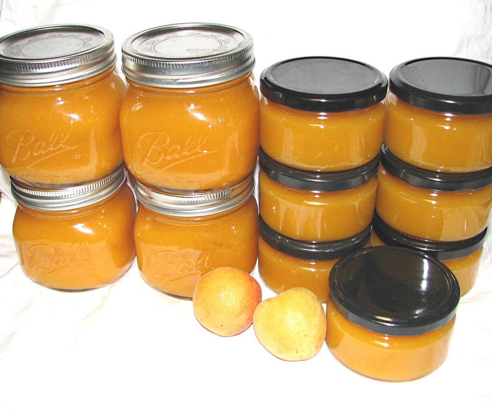 FOOD PRESERVING Day 236 Apricot Nectar