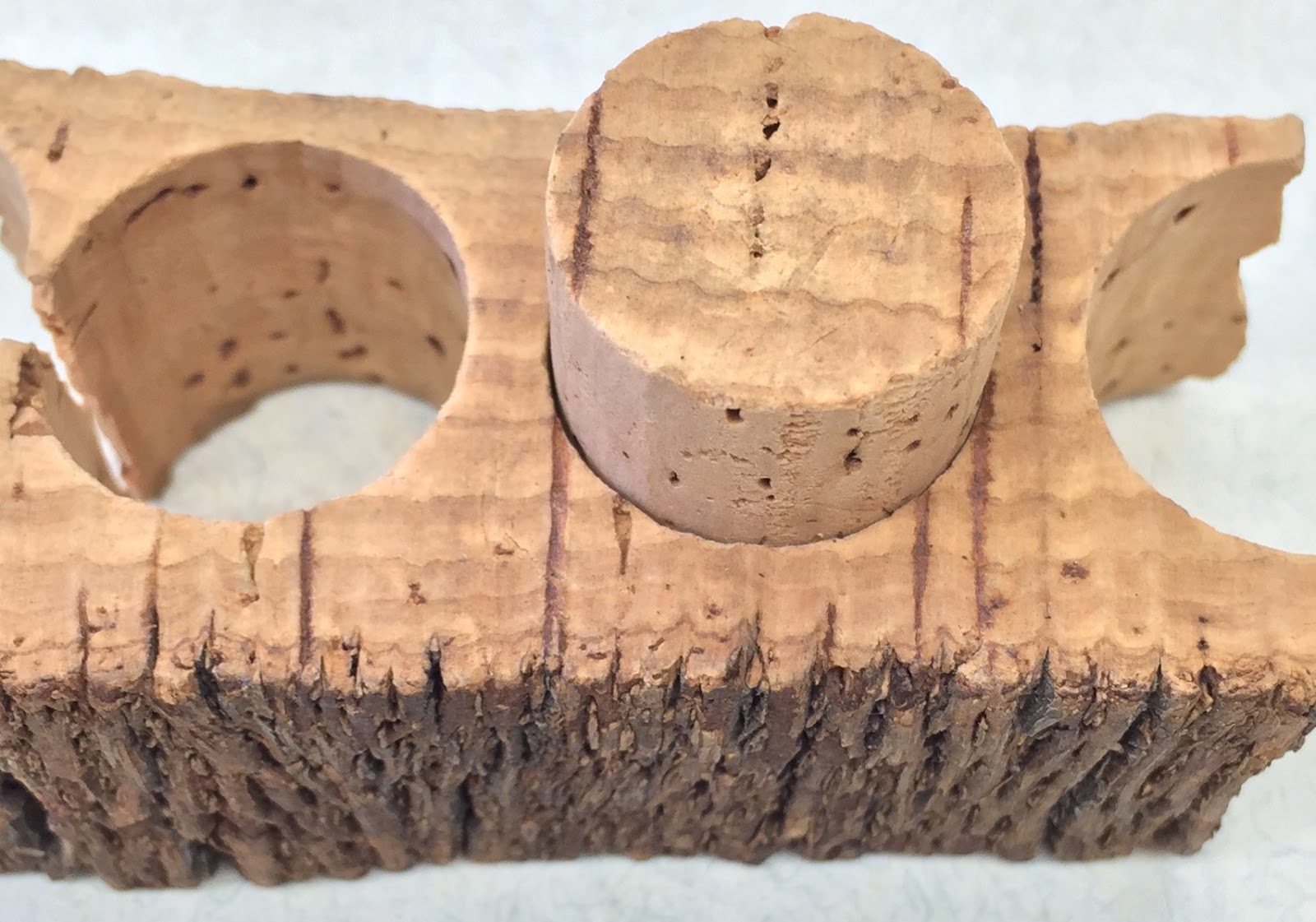 The Phytophactor Botany Within Your Reach 1. Corks