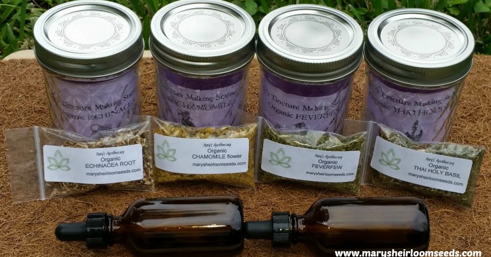Back to the Basics! Herbal Remedy Starter Kits