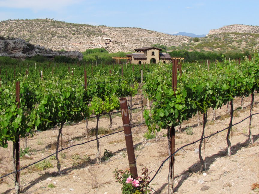 Photography by Pearl Visiting yet more wineries here in Cottonwood