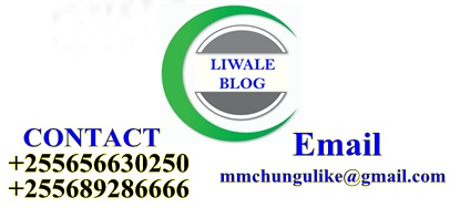 LIWALE BLOG