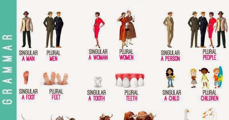 English with Leigh: Irregular plural nouns