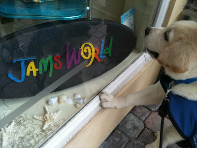 photo of Jam looking in a window that has a sign that says Jam's world.