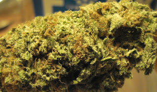 Reserve, neither pot of erotica Pity, pot of erotica opinion