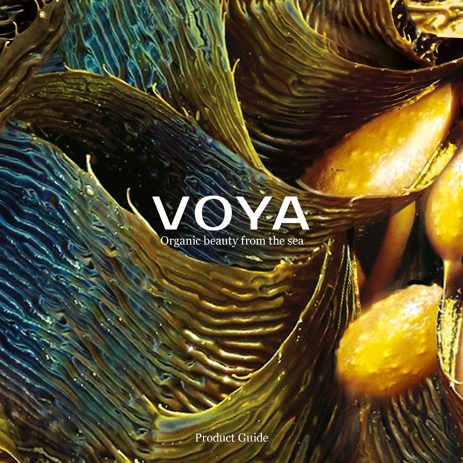 VOYA Spa and Skincare on Packaging of the World - Creative Package Design Gallery1600 x 1600