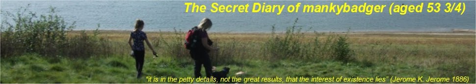 The Secret Diary of Manky Badger