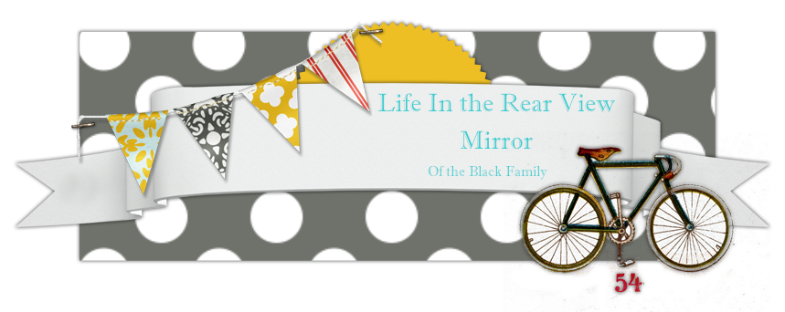 Life In the Rear View Mirror