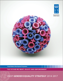 UNDP gender equality strategy 2014-2017