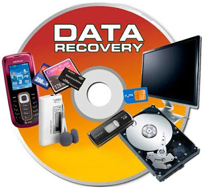 Card Recovery Software Rapidshare Downloader
