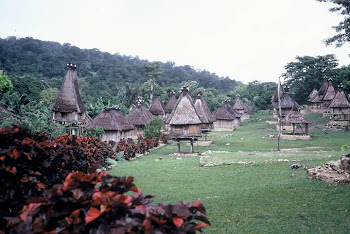 Beragam rumah adat di Timor Leste