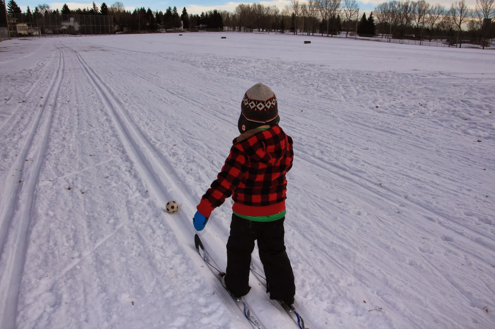 Family Adventures in the Canadian Rockies Cross Country Skiing With