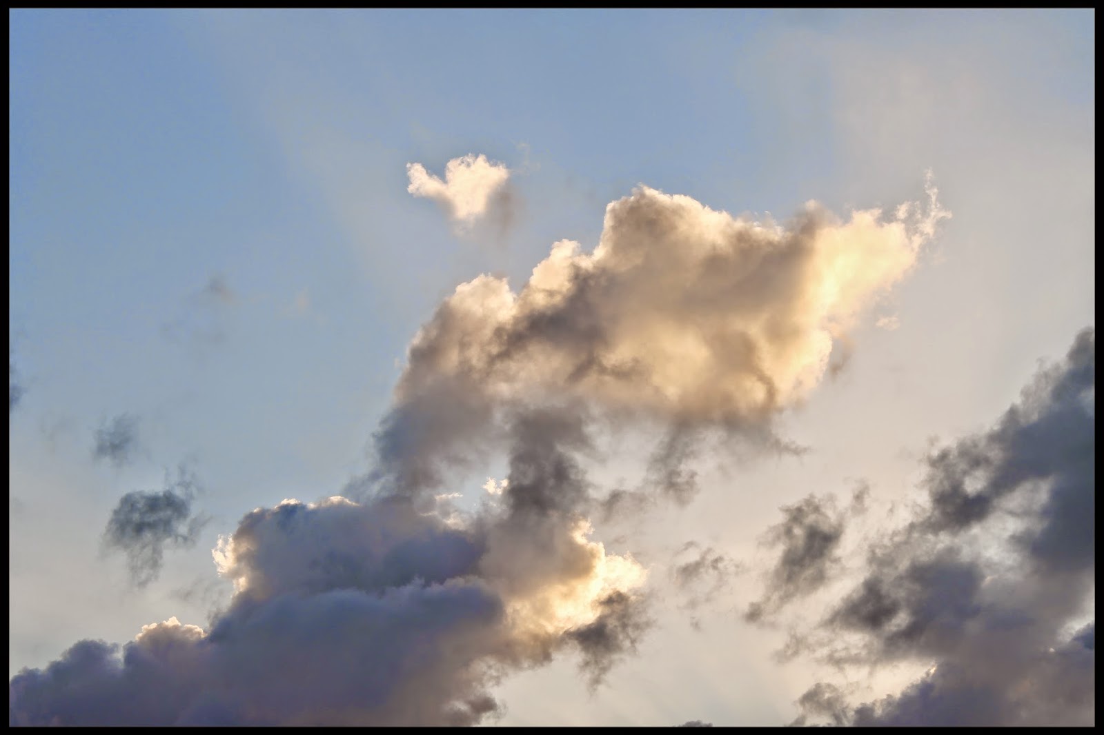 cloud that looks like duck free wallpaper free wallpaper of cloud that looks like a duck