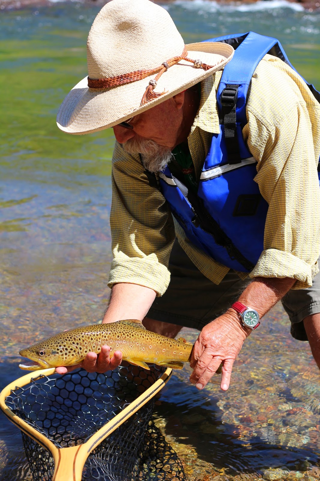 A+nice+brown+trout+with+L+Dean+on+the+roaring+fork+river+with+jay+scott+outdoors+1.JPG