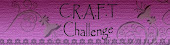 Winner at C.R.A.F.T