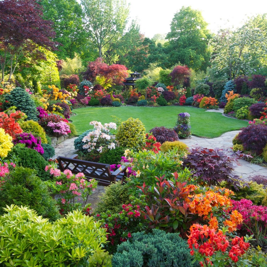 Most Beautiful Images Of Flower Gardens Most Beautiful Images Of Flower Gardens