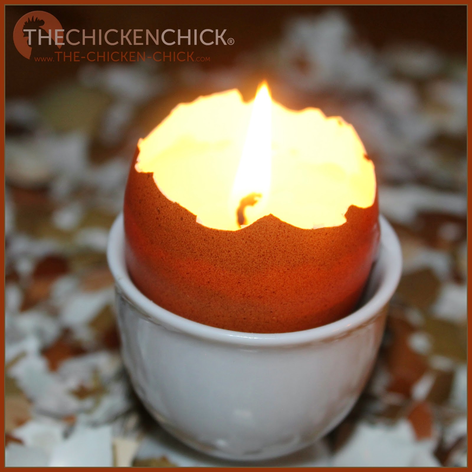 Eggshell Candles The Chicken Chick®
