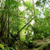 A Real Adventure in Thailand