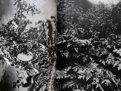 A Japanese Book: Sashin Eizo / Photo Image 9 (1971)