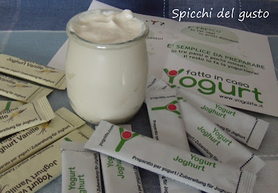 yogurt fatto in casa yogurt fatto in casa