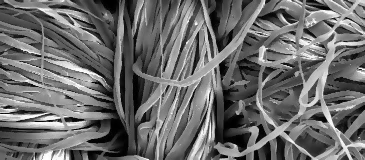 Textile Fiber Classification Textile Fiber Classification and Test Fiber