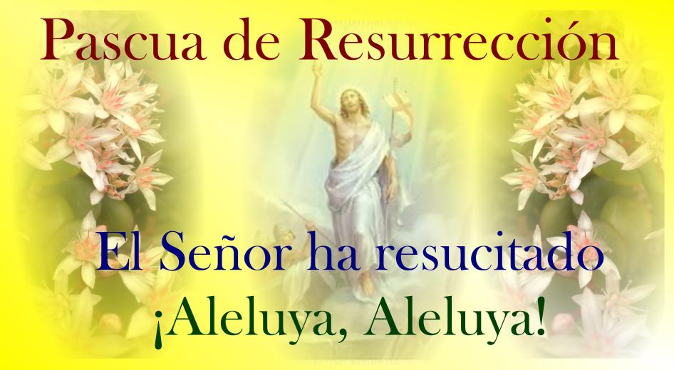 Firmes en Cristo