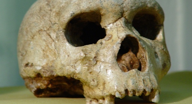 Ο σκελετός Homo Sapiens που βρέθηκε σε σπήλαιο των Χανίων και τον άρπαξαν οι Ιταλοί Ο σκελετός Homo Sapiens που βρέθηκε σε σπήλαιο των Χανίων και τον άρπαξαν οι Ιταλοί