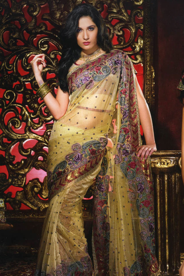 Designer Glass Tissue Sarees Queen Of Heaven...