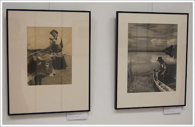 NOTICIAS FOTO CLUB VALENCIA Sala Vicente Peydró Marzal. Exposición