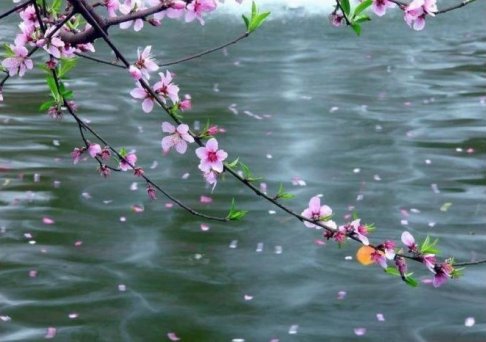 家乡有句俗话“立春一日,水暖三分