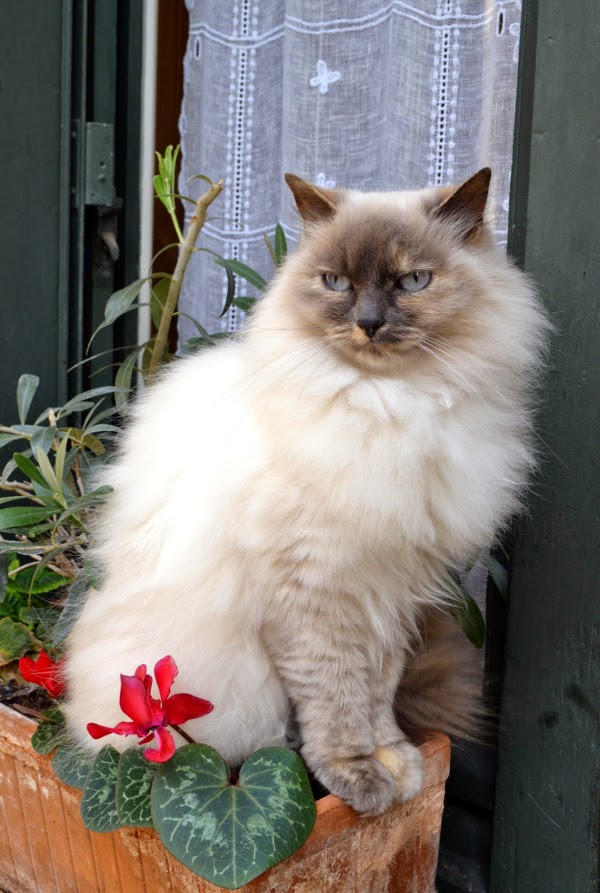 sacrement de la rencontre