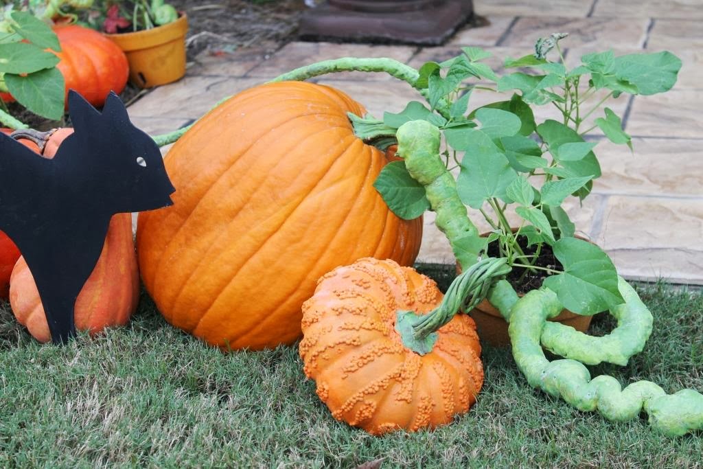 Make Fake Vines and Stems Miss Kopy Kat