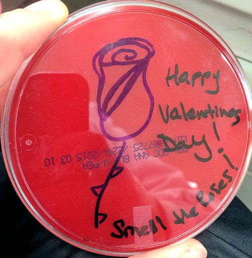 Medical Laboratory and Biomedical Science Happy Valentine´s Day