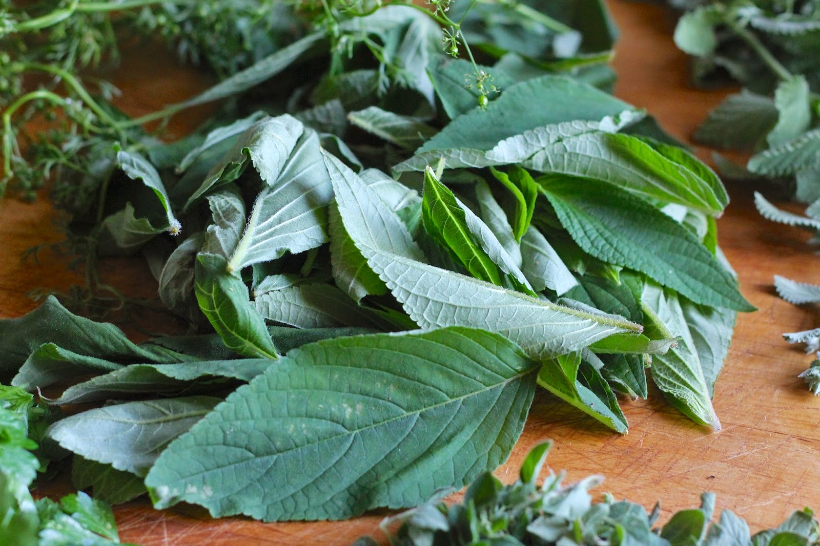 Where Your Treasure Is Drying and Preserving Herbs