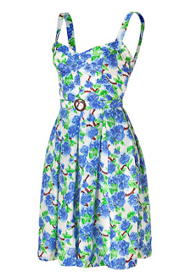 Cornflower Printed Silk Dress
