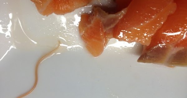 Que tuer les parasites dans la viande