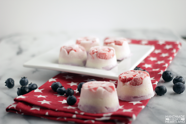 Berries & Cream Frozen Yogurt Bites with #AEDairy