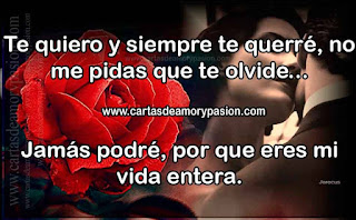 Amarte fue un sueño del que ahora despierto con dolor. Cartas de amor,